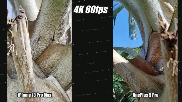 iPhone 13 Pro Max vs OnePlus 9 Pro Camera Test Comparison смотреть онлайн