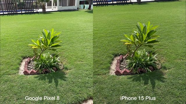 Google Pixel 8 vs iPhone 15 Plus Camera Test Comparison смотреть онлайн