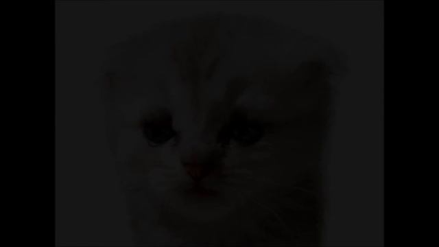 EMMA LEE The AVATAR CAT Written & Directed by Belinda Gary 2012 смотреть онлайн