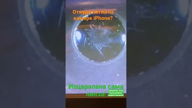 Откуда пятна на камере iPhone? Пятна на камере видны при съемке на белом фоне. смотреть онлайн