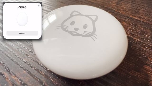 Should I Use An AirTag To Track My Pet? Unboxing, Testing, & Reviewing Apple's AirTag. смотреть онлайн