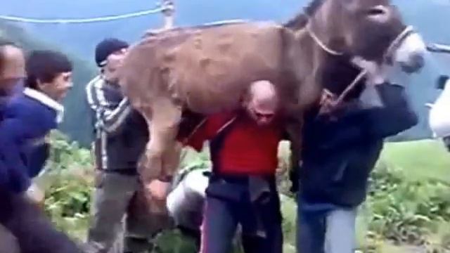 Азербайджан смотреть онлайн