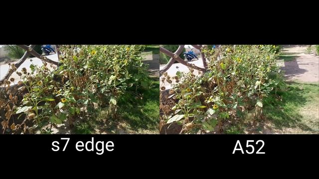 Samsung A52 Vs Samsung s7edge (truthful camera test ) смотреть онлайн
