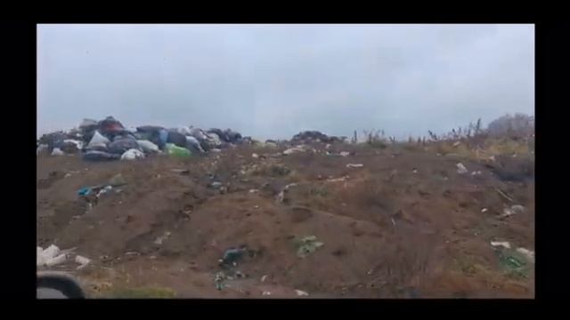 Экологические проблемы смотреть онлайн