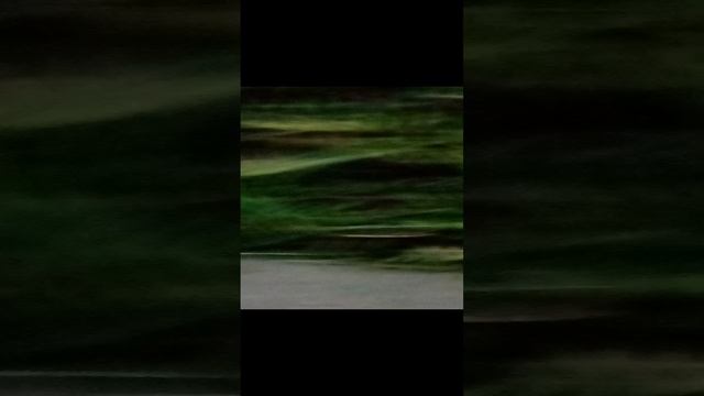 VID_20241012_183505.mp4 смотреть онлайн
