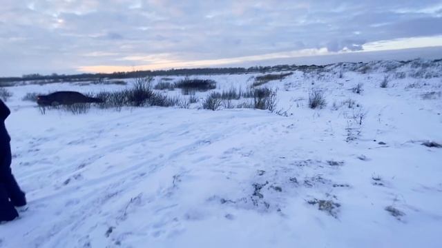 Audi и Mercedes тестируют горки Приглашение на "Битву СЕДАНОВ" смотреть онлайн