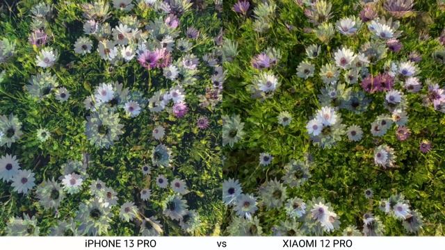 Xiaomi 12 Pro vs iPhone 13 Pro Max Camera Test смотреть онлайн