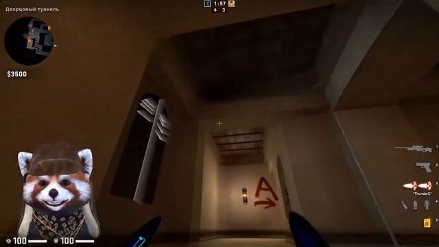 Я ЧИТЕР?! ТРОЛЛИНГ В CS:GO | ДЕВУШКА СИЛЬНО БОМБАНУЛА смотреть онлайн