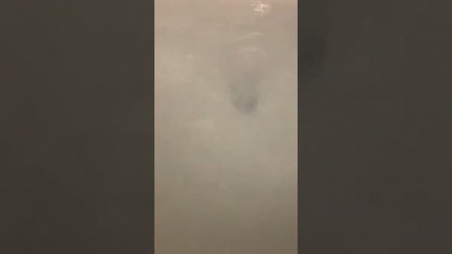 Dove Bath Bomb Lavender and Chamomile смотреть онлайн