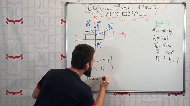 Condizioni di Equilibrio di un Punto Materiale смотреть онлайн