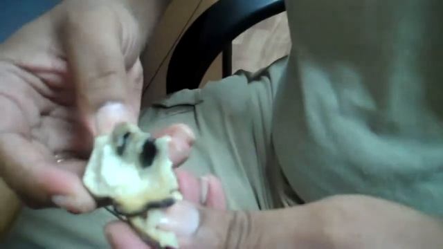The Delightful Custard Apple смотреть онлайн