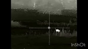 Удачная охота на шакала в Волгоградских степях. Карабин R-715, прицел Iray Saim SCT 35 v.2