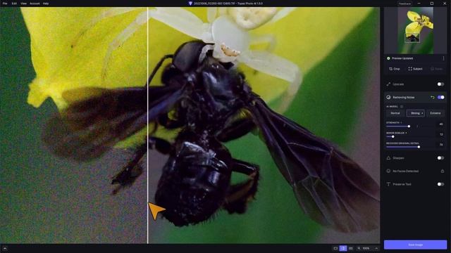 Entrauschen, ohne Details zu verlieren || Topaz Photo AI Version 1.5 || 40$ Rabatt bis 18.August смотреть онлайн
