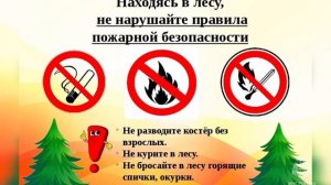 Правила пожарной безопасности на природе