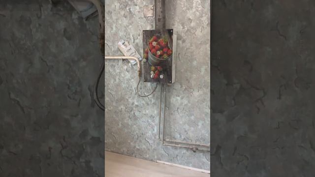 Продажа 2-х комнатной квартиры на Попова дом, 4