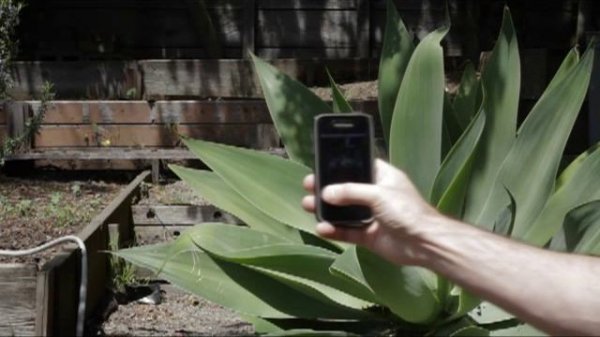 Iphone Pocket Light Meter - Free App