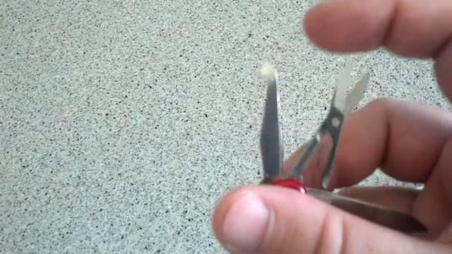 Victorinox Minichamp