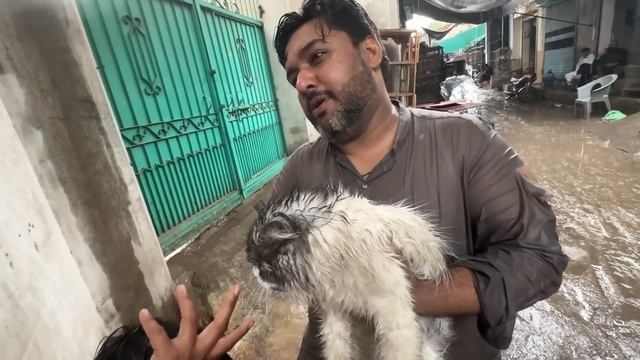Pet Market Me Bht Taiz Barish Agai ⛈️ Subhan Gir Gea 😰 смотреть онлайн