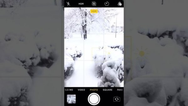 iPhone Photography in The Snow