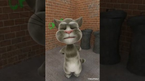 algunas animaciónes de talking Tom cat 2010 y talking Tom cat 2016