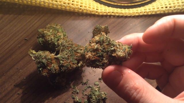 Big apple Kush.. смотреть онлайн