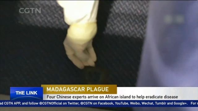 Four Chinese experts arrive in Madagascar to help eradicate plague смотреть онлайн