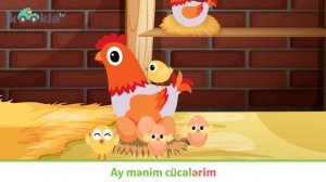 "Cücələrim" uşaq mahnısı - (Azərbaycan uşaq mahnıları)