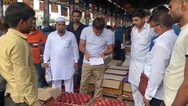Report by SHARDA Apple Market Panchkula смотреть онлайн