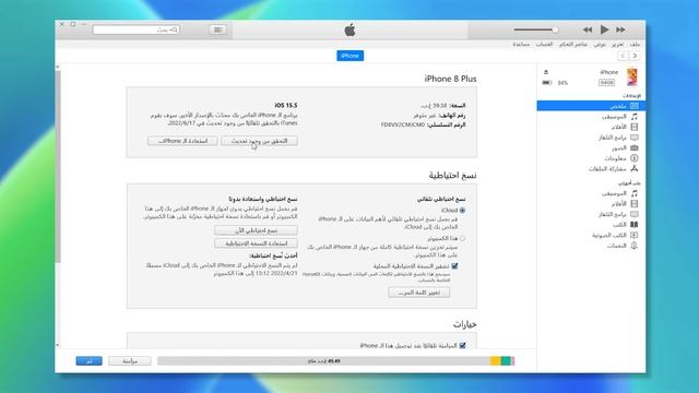 حل مشكلة تعليق تحديث الايفون iOS 16 /17 Beta / 17 [2024 حل آمن] смотреть онлайн
