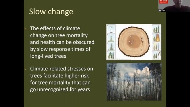 CAFFDW Webinar Series - Climate Change Impacts on Forest Ecosystems - April 19, 2022 смотреть онлайн