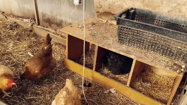 Пластиковые окна и двери