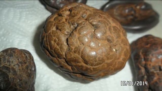 метеориты! смотреть онлайн