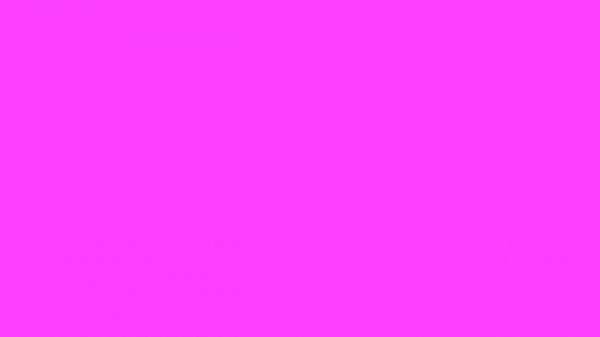 MAGENTA Screen for 10 Minutes 8K Background