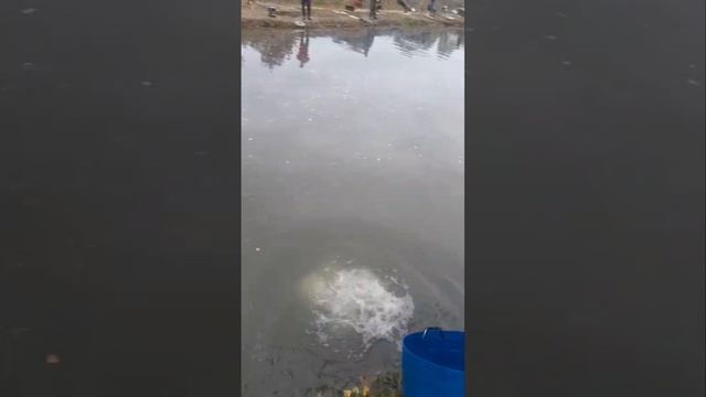произвели запуск на путевки смотреть онлайн