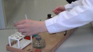 огэ химия 2024, задание #24, правила работы с реактивами и приборами