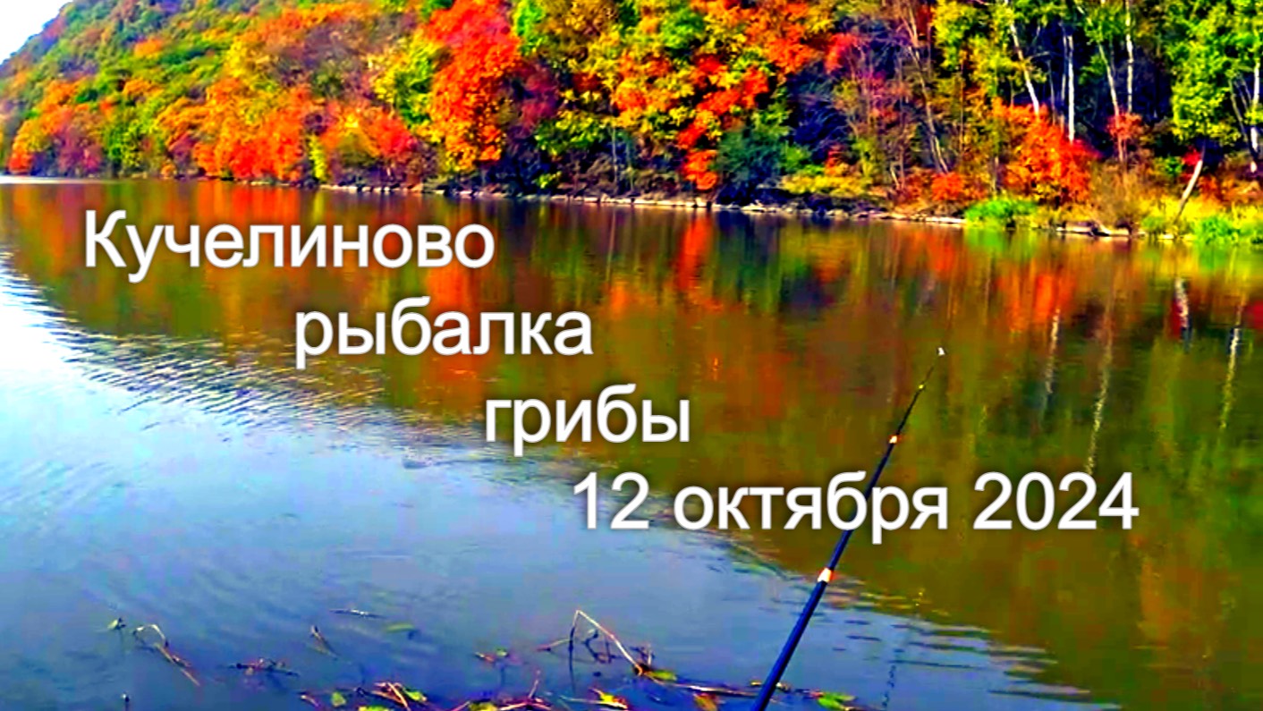 Кучелиново _ рыбалка _ грибы _ 12 октября 2024 года