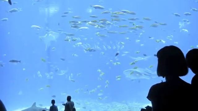 USA Exchange Program