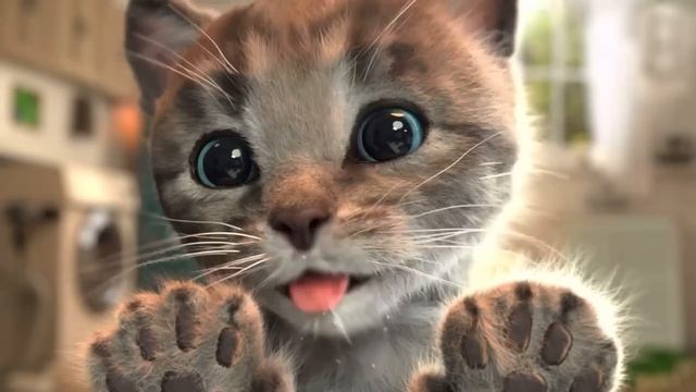 CUTE LITTLE KITTEN ADVENTURES CARE FOR YOUR PET KITTY - RECYCLING EDUCATION KITTENS NEED A HOME