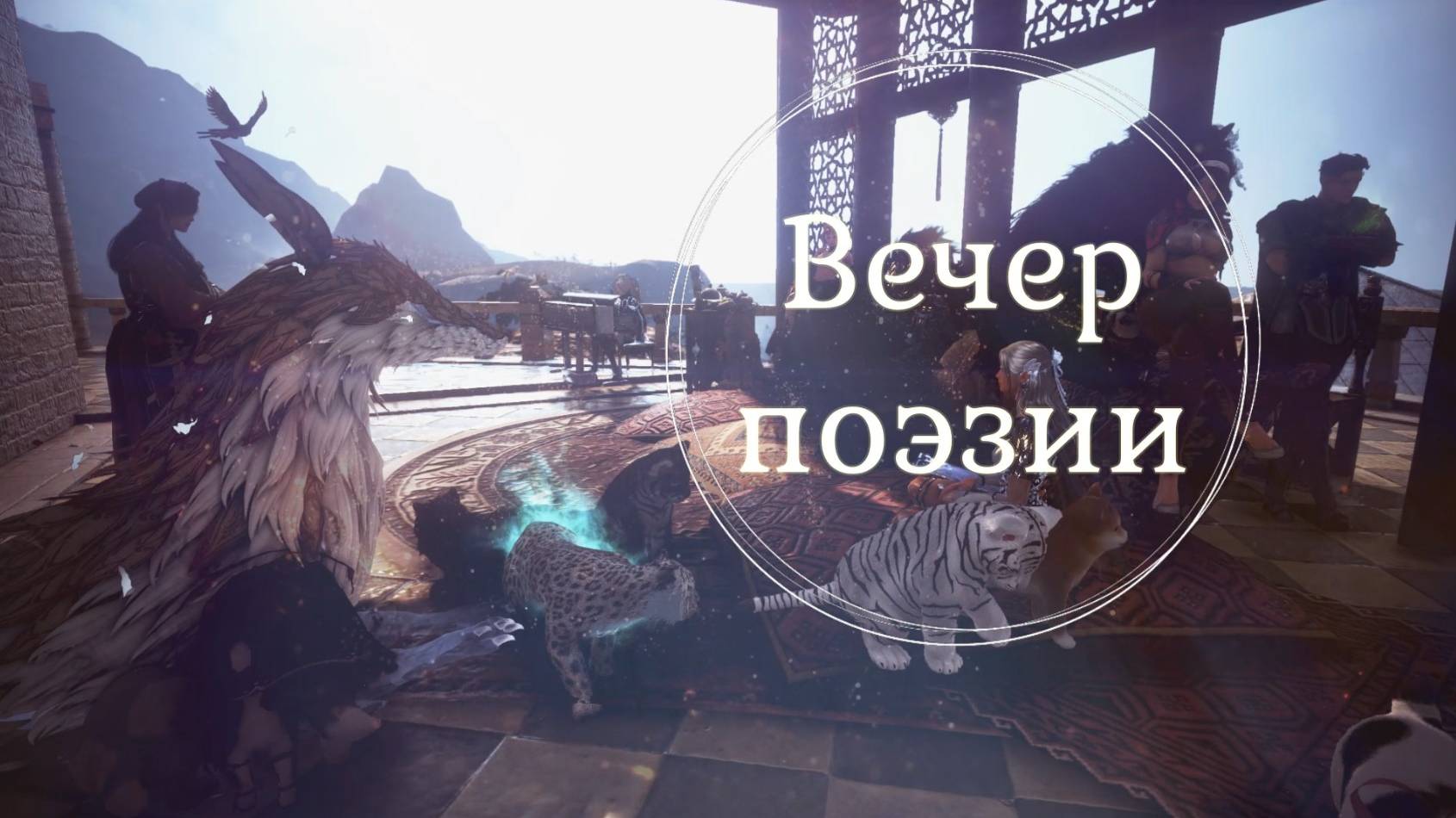 Вечер поэзии смотреть онлайн