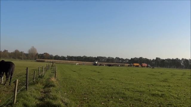 Mais hakselen | De Schilschoter | Claas Jaguar 840 | Stroe langs de A1 | Netherlands | 2011. смотреть онлайн