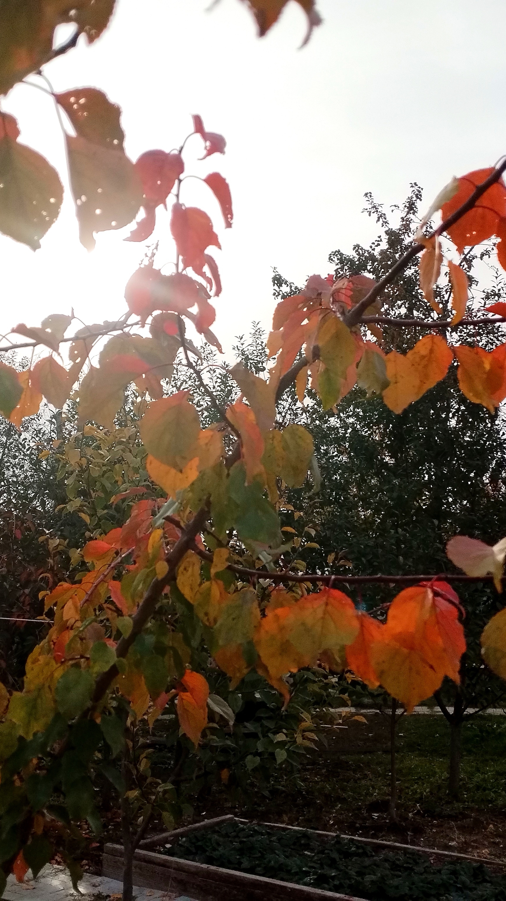 Стишок-гребешок смотреть онлайн