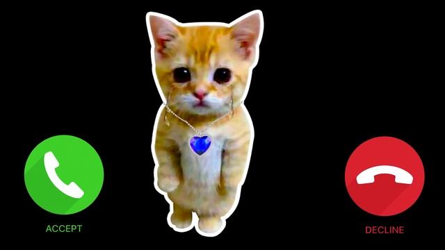 CAT APPLE iphone PRO RINGTONE PHONE, Hello Are You There?. Apple Pro cat смотреть онлайн