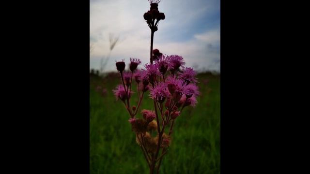 Huawei P30 Pro Vs. Mate 20 Pro