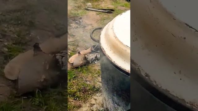 ТРАДИЦИИ/КУЛЬТУРА КАЗАХОВ #казахи #культура #традиции смотреть онлайн