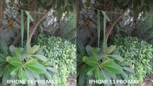 iPhone 14 Pro Max Va iPhone 13 Camera Test Comparison