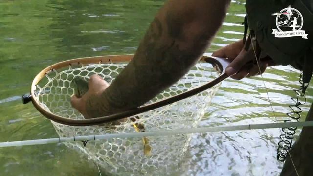 Brown Trouts on Dry Fly! смотреть онлайн