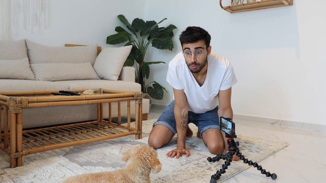 I Taught My Dog to VLOG With My iPhone!!! смотреть онлайн