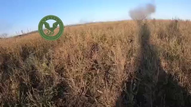 ⚡️СВО 18+ Будни штурмовиков как есть смотреть онлайн