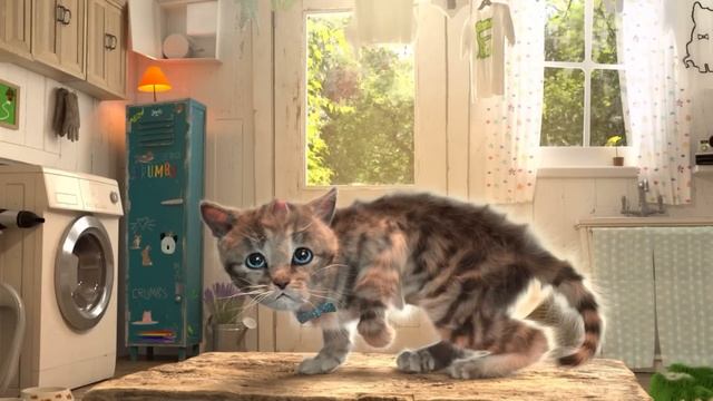 Little Kitten Preschool Adventure Education Games iOS Kids Play Fun Cute Kitten Pet Care Learn #655 смотреть онлайн