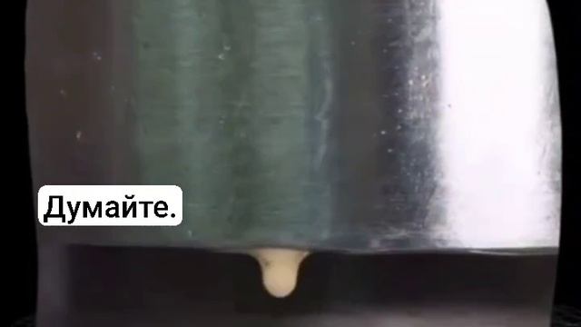 Это всё явно не "для красоты", кого то этим накормят. смотреть онлайн